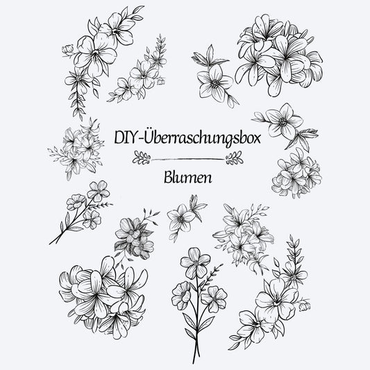 Bastel-Set | DIY Überraschungsbox