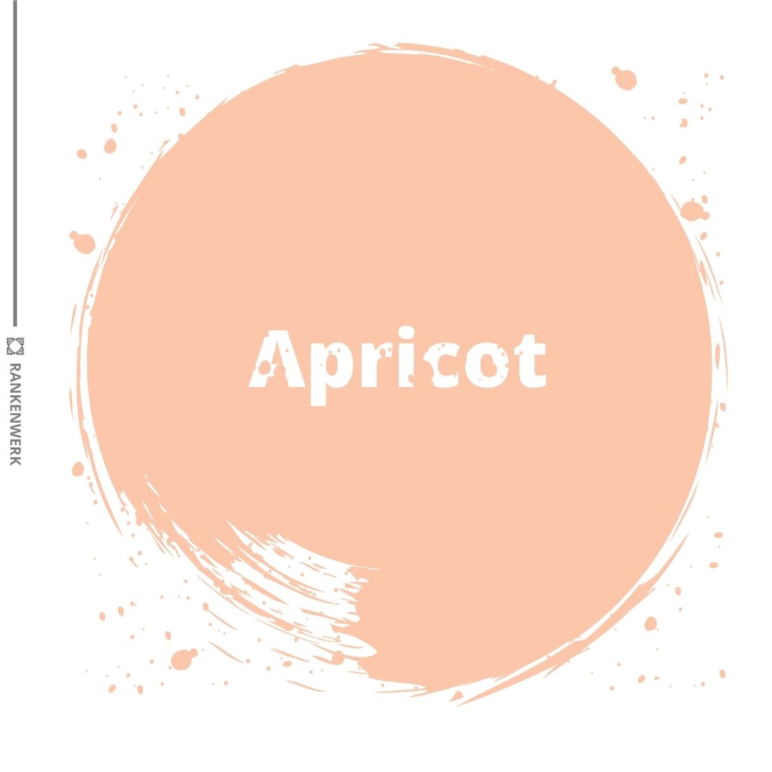 Kreidefarbe | Dixie Belle Chalk Paint - Apricot