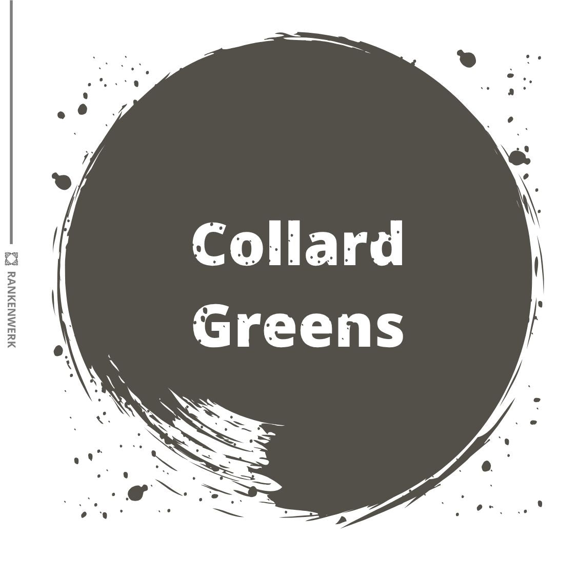 Kreidefarbe | Dixie Belle Chalk Paint - Collard Greens