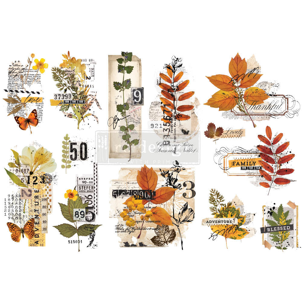 Redesign Small TRansfer Foliage Collector