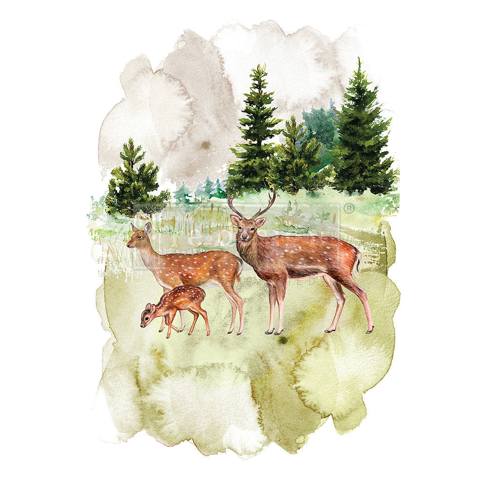 Transferfolien | Redesign Transfer - Fauna