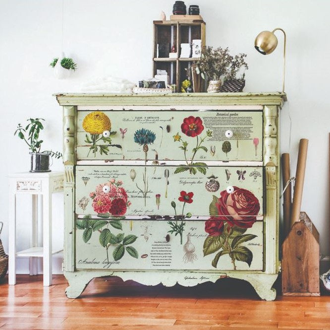 Transferfolien | Redesign Transfer - Vintage Botanical