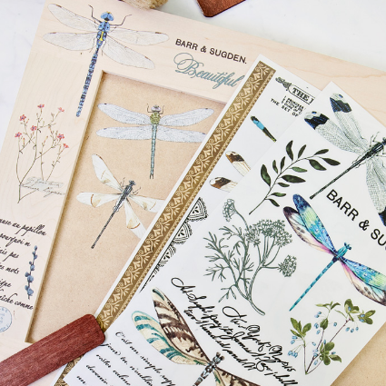 Transferfolien | Redesign Transfer - Spring Dragonfly