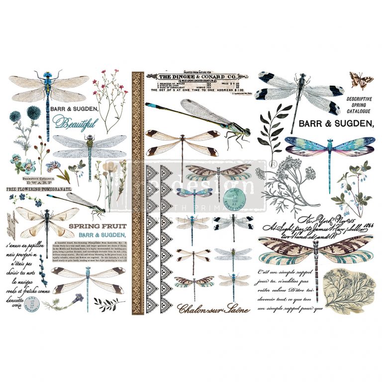 Transferfolien | Redesign Transfer - Spring Dragonfly