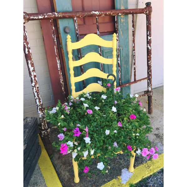 Kreidefarbe | Dixie Belle Chalk Paint - Daisy