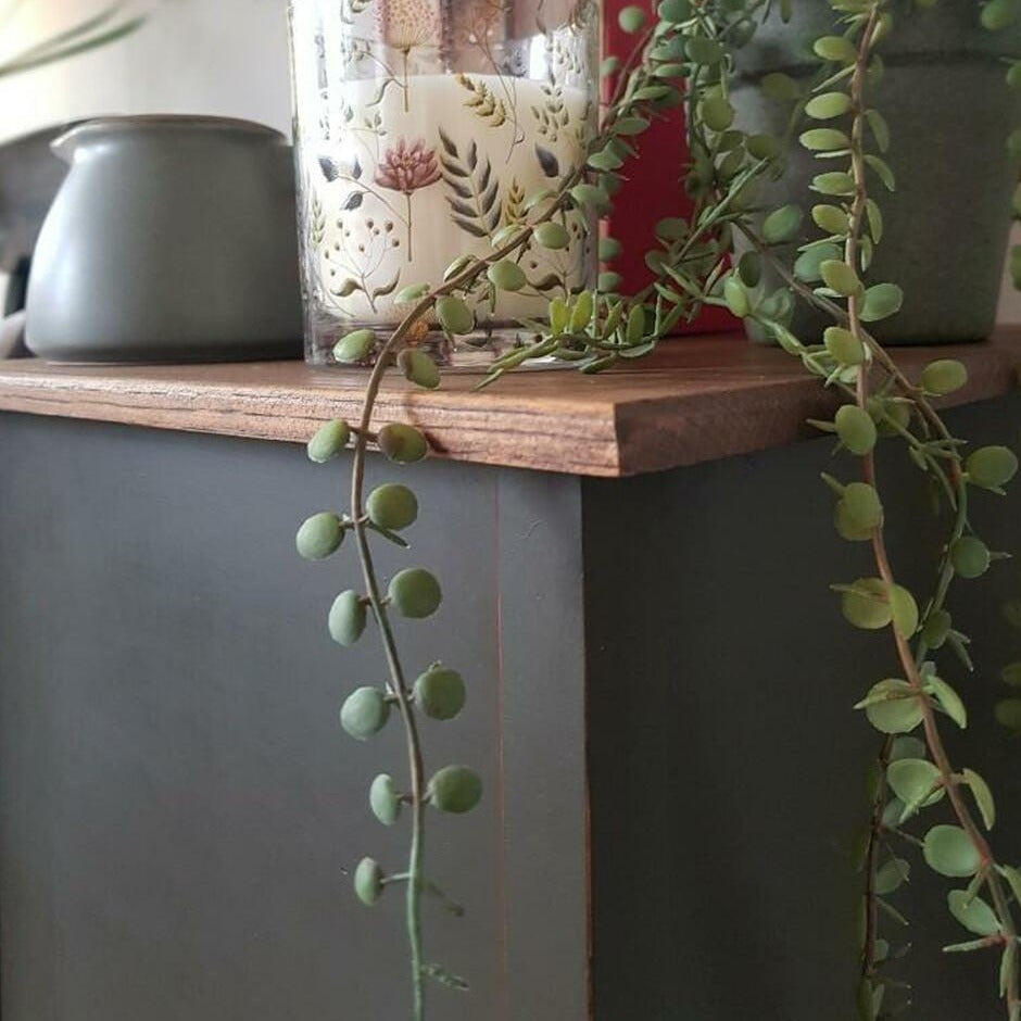Kreidefarbe | Dixie Belle Chalk Paint - Collard Greens