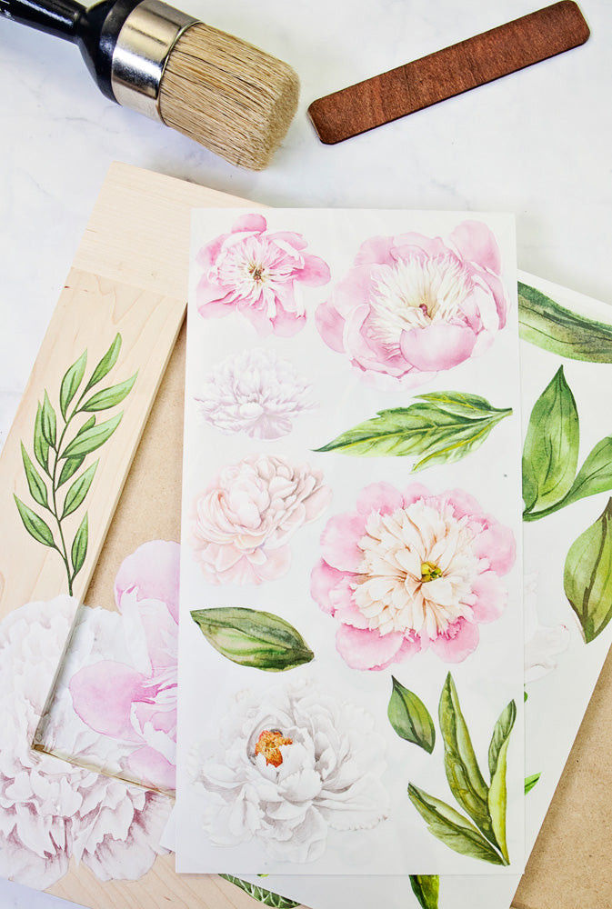 Transferfolien | Redesign Transfer - Morning Peonies