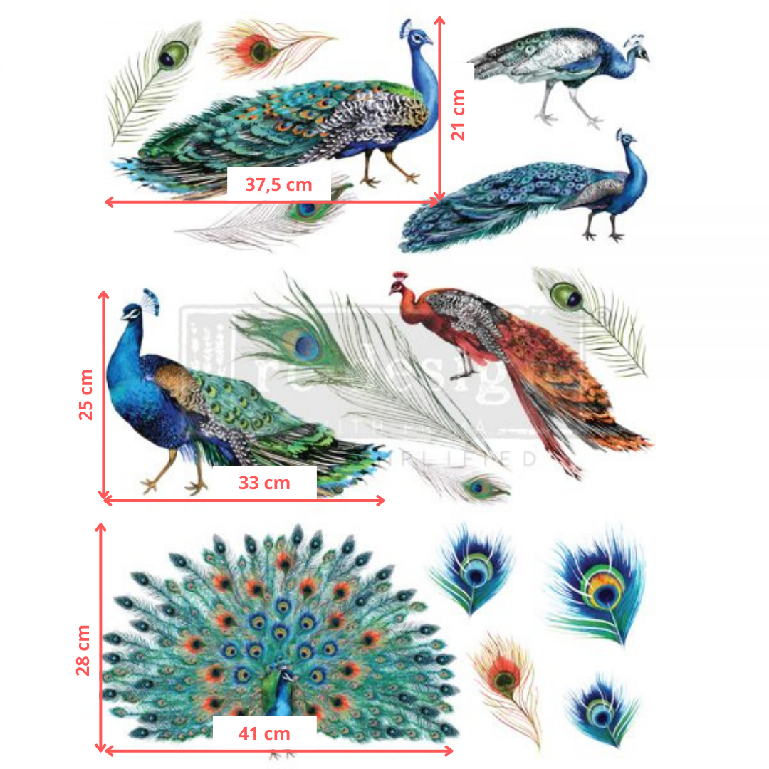 Transferfolien | Redesign Transfer - Peacock Dreams