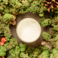 Kreidefarbe | Dixie Belle Chalk Paint - Cucumber Ice