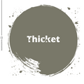 Kreidefarbe | Dixie Belle Chalk Paint - Thicket