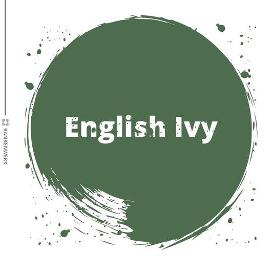 Kreidefarbe | Dixie Belle Chalk Paint - English Ivy