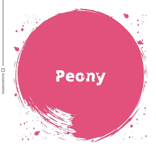 Kreidefarbe | Dixie Belle Chalk Paint - Peony