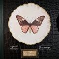Silikonformen | Redesign - Contours Of Grace