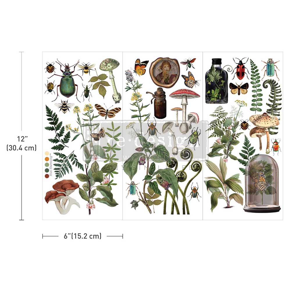 Transferfolien | Redesign Transfer - Botanical Archives