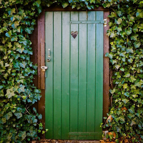 Gartentür mit grüner Acrylfarbe für möbel renoviert