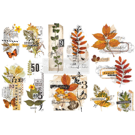 Redesign Small TRansfer Foliage Collector