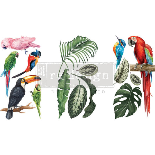 Transferfolien | Redesign Transfer - Tropical Birds