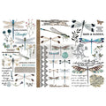 Transferfolien | Redesign Transfer - Spring Dragonfly