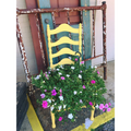 Kreidefarbe | Dixie Belle Chalk Paint - Daisy