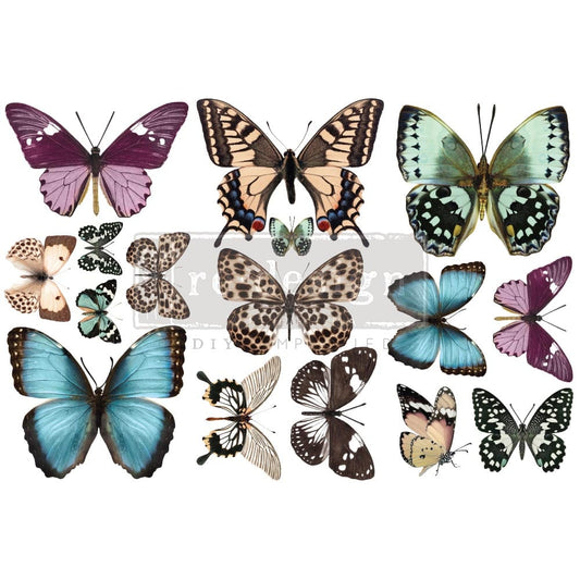 Transferfolien | Redesign Transfer - Butterfly