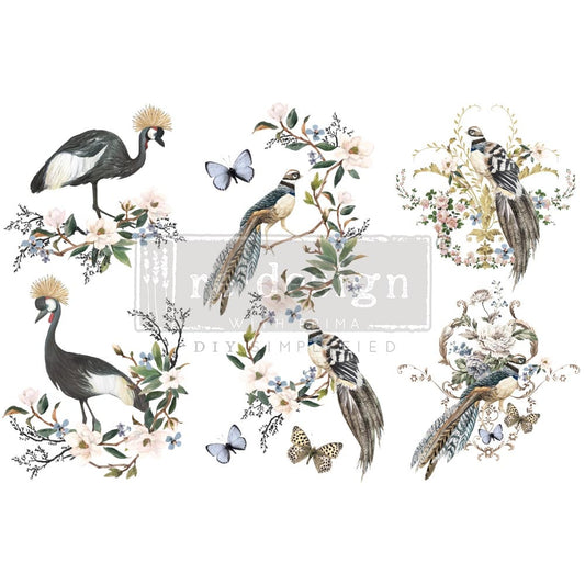 Transferfolien | Redesign Transfer - Rare Birds