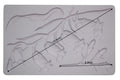 Silikonformen | Redesign - Decor Mould - Sweet Bellflower