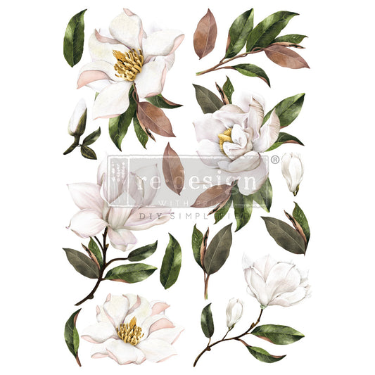 Transferfolien | Redesign Transfer - Magnolia Grandiflora